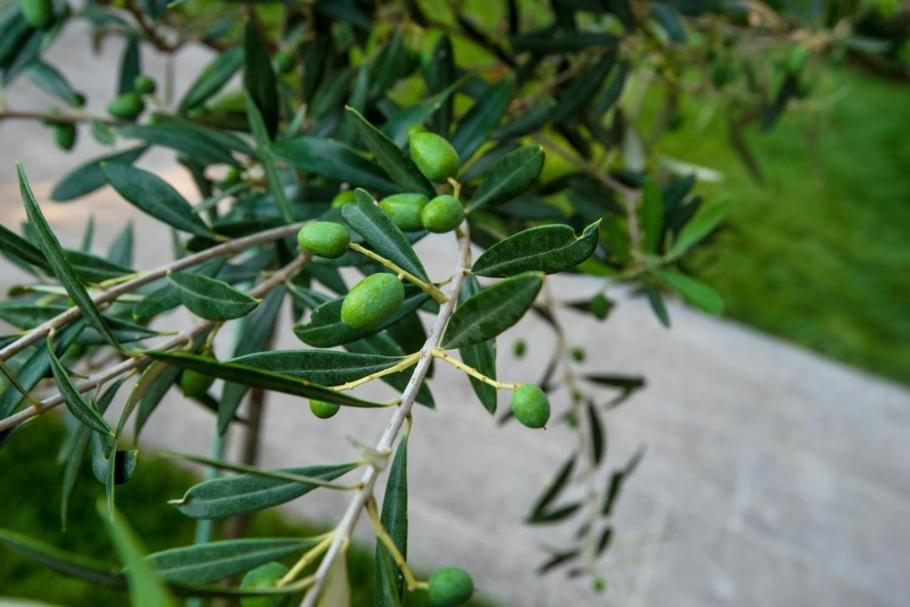 شقة Olive 301 Peraía المظهر الخارجي الصورة